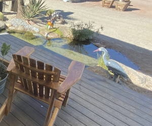 Back deck with a koi pond underneath in a desert landscape.
